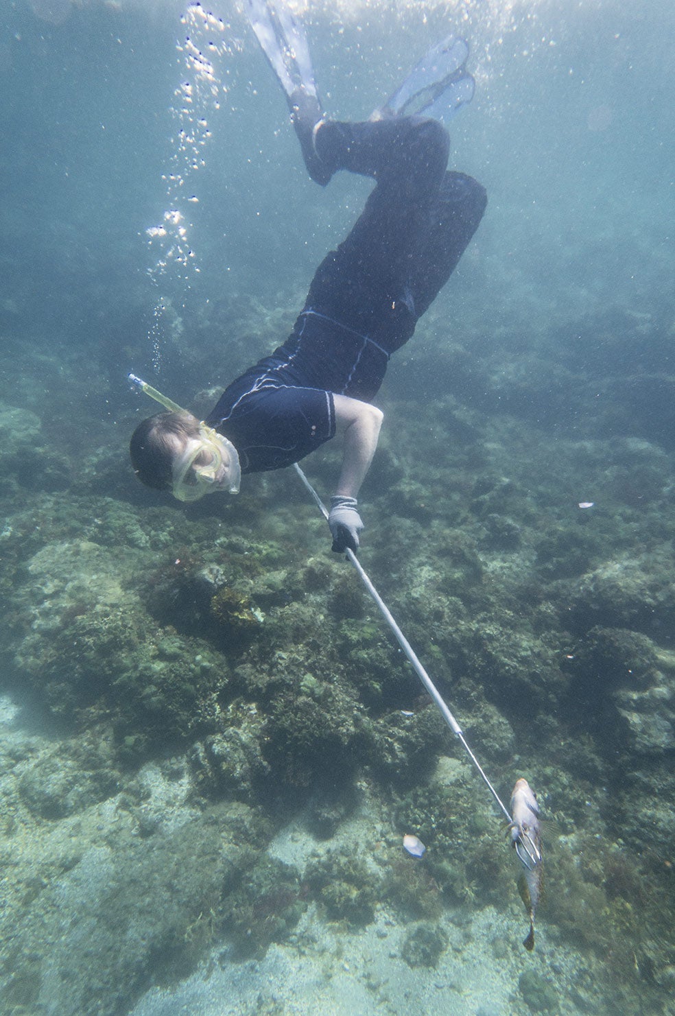 Un arpón, unas gafas y unas aletas son algunos de los elementos básicos para poder iniciarse en el arte de la pesca.