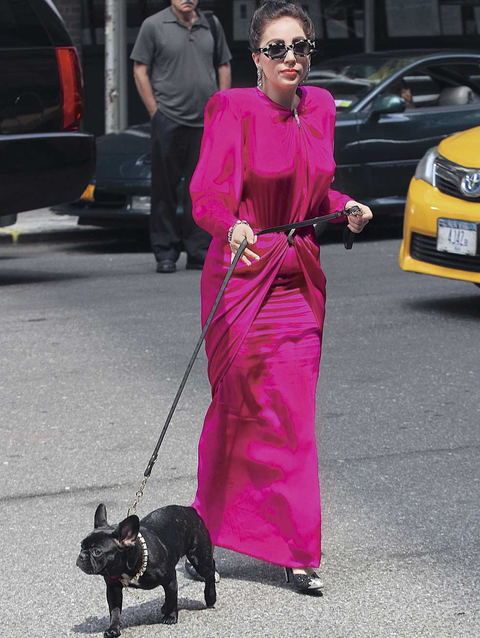 La demanda de ciertas razas se dispara con la exposición mediática. Y resulta catastrófica. Lady Gaga tiene un bulldog francés, cabezón y de ojos grandotes como un bebé humano. Los border collies se pusieron de moda con la película 'Babe, el cerdito valiente'. Los cavalier, con 'Sexo en Nueva York'...