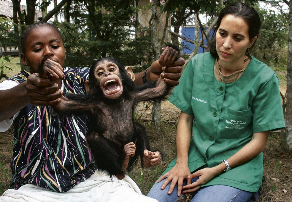 Rebeca Atencia y Fernando Turmo —el fotógrafo de esta toma— llegaron a África hace veinte años. Han emprendido varios proyectos, uno de ellos es una serie de televisión, Super Kodo, protagonizada por un niño superhéroe que protege la naturaleza.