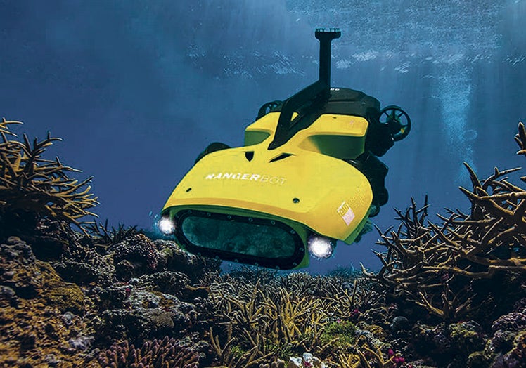 El amigo de los corales