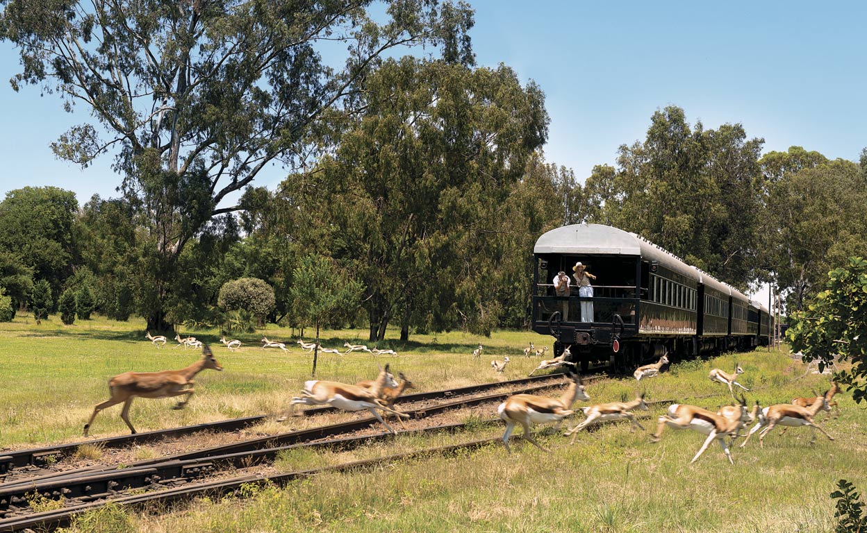 El tren más lujoso del mundo (por dentro y por fuera)