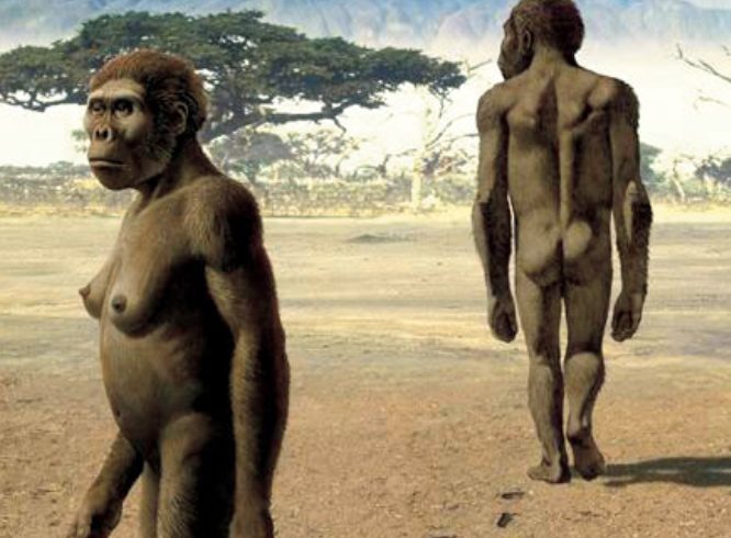 4. Todos somos prematuros