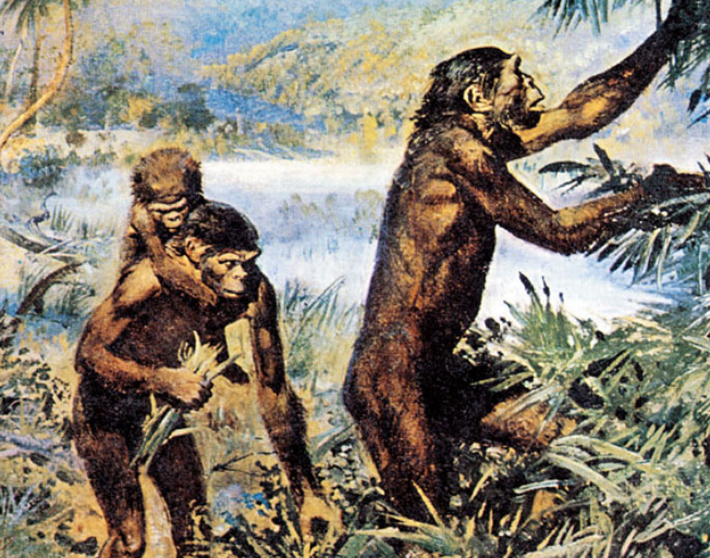 5. La eficacia de la monogamia