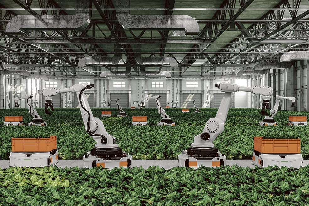 Holanda es el nuevo granero del mundo gracias a una tecnología que emula a Silicon Valley en sus invernaderos. Drones y robots realizan cada vez más labores. La sostenibilidad es imbatible: Estados Unidos necesita 127 litros de agua para producir un kilo de tomates; Holanda, 9.
