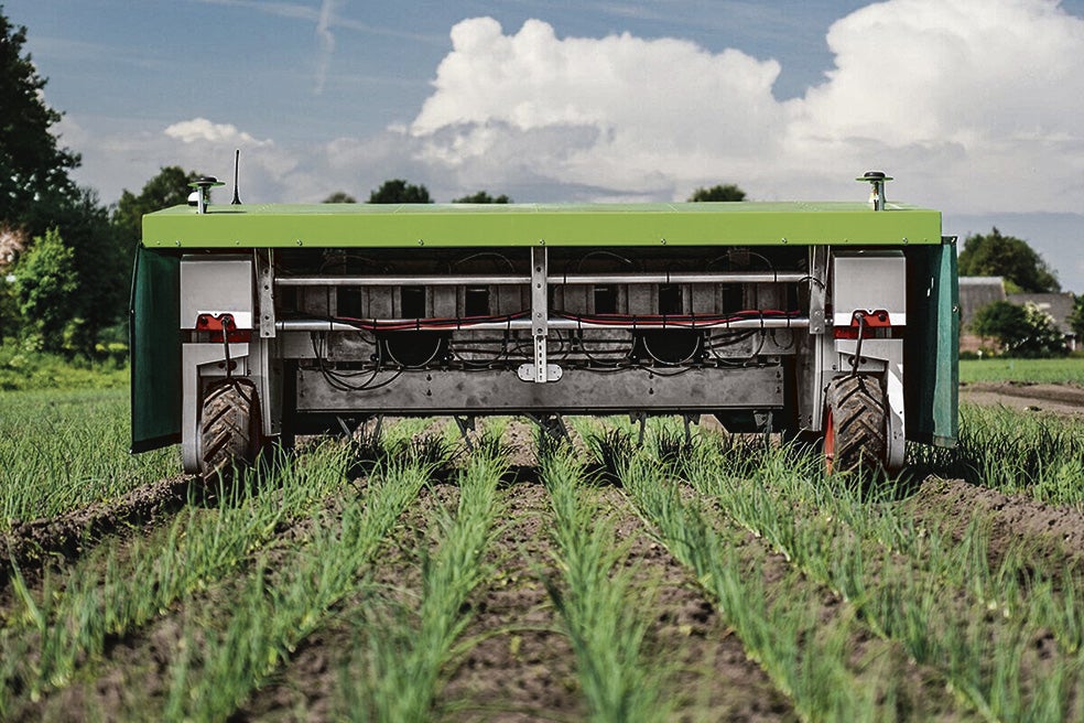 El uso de herbicidas ha convertido la eliminación de la maleza, cada vez más resistente, en una pesadilla. La compañía sueca Ekobot ha desarrollado un robot que las elimina gracias a sensores equipados con IA para su localización, rasurándolas sin dañar los cultivos. Y reduce el uso de fitosanitarios en un 70 por ciento.