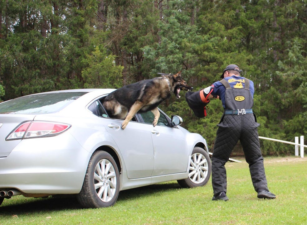 «Nuestros perros no están entrenados para matar, si no para, llegado el caso, detener una amenaza», explica November Holley, presidenta de Harrison K-9, otra de las empresas del sector, con clientes en Miami, el Caribe, Canadá o Tailandia que han llegado a pagar hasta 230.000 dólares por sus animales.
