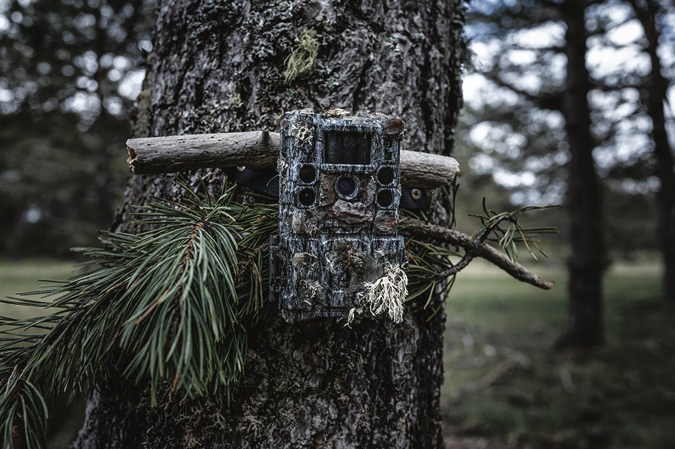 Cámara de fototrampeo para identificar la posición y las rutas de los lobos en la zona. Se han colocado 25 cámaras por la sierra de Guadalajara.