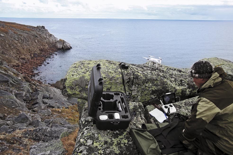 Hasta 120.000 morsas puede darse cita cada año en esta bahía del cabo de Serdtse-Kamen. Es hoy la aglomeración más importante del mundo. En Rusia, donde vive la mayor parte de las morsas del Pacífico, nadie las conoce mejor que Chakilev y su mentor, Anatoly Kochnev, el primero en descubrir esta aglomeración. Chakilev las filma con un dron para contarlas con precisión.