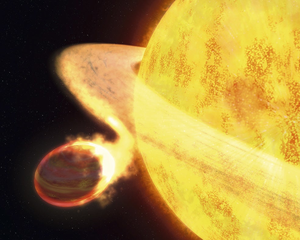 Estrella depredadora