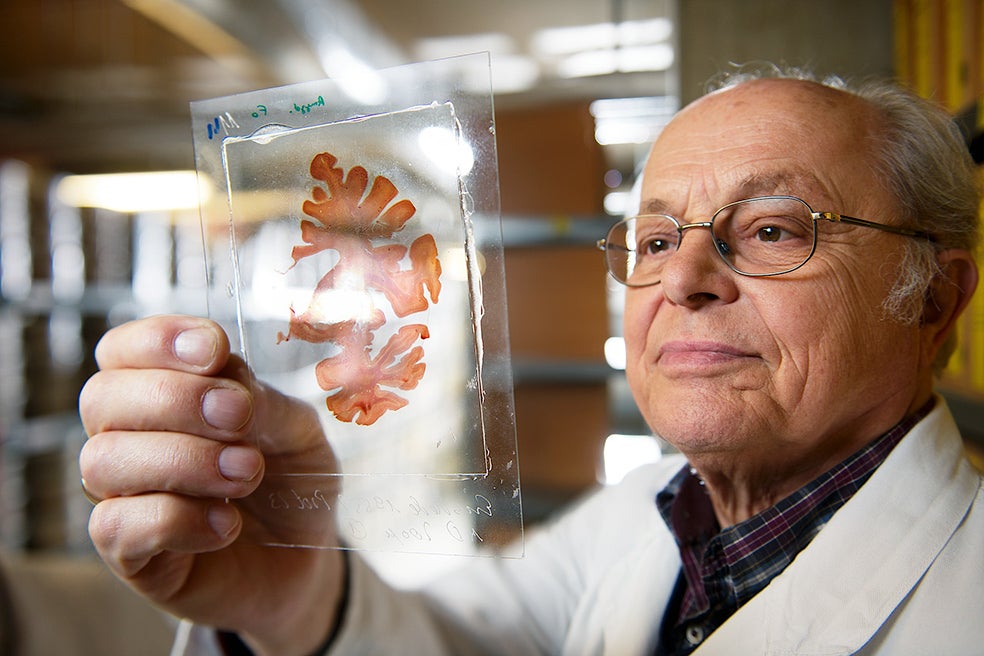 El neuropatólogo alemán Heiko Braak fue el primero en defender la hipótesis de que el párkinson se generaba en el intestino.