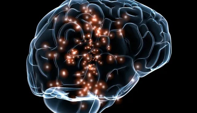 ¿Qué son las redes neuronales?