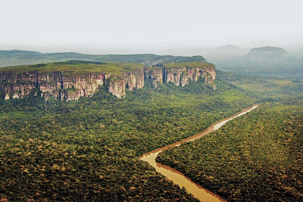 En 1987, Carlos Castaño Uribe descubrió en la colombiana serranía del Chiribiquete (en la imagen) los espectaculares murales cubiertos de pinturas rupestres. Desde 1989, este enorme territorio –de casi 1,5 millones de hectáreas– es un parque nacional natural.
