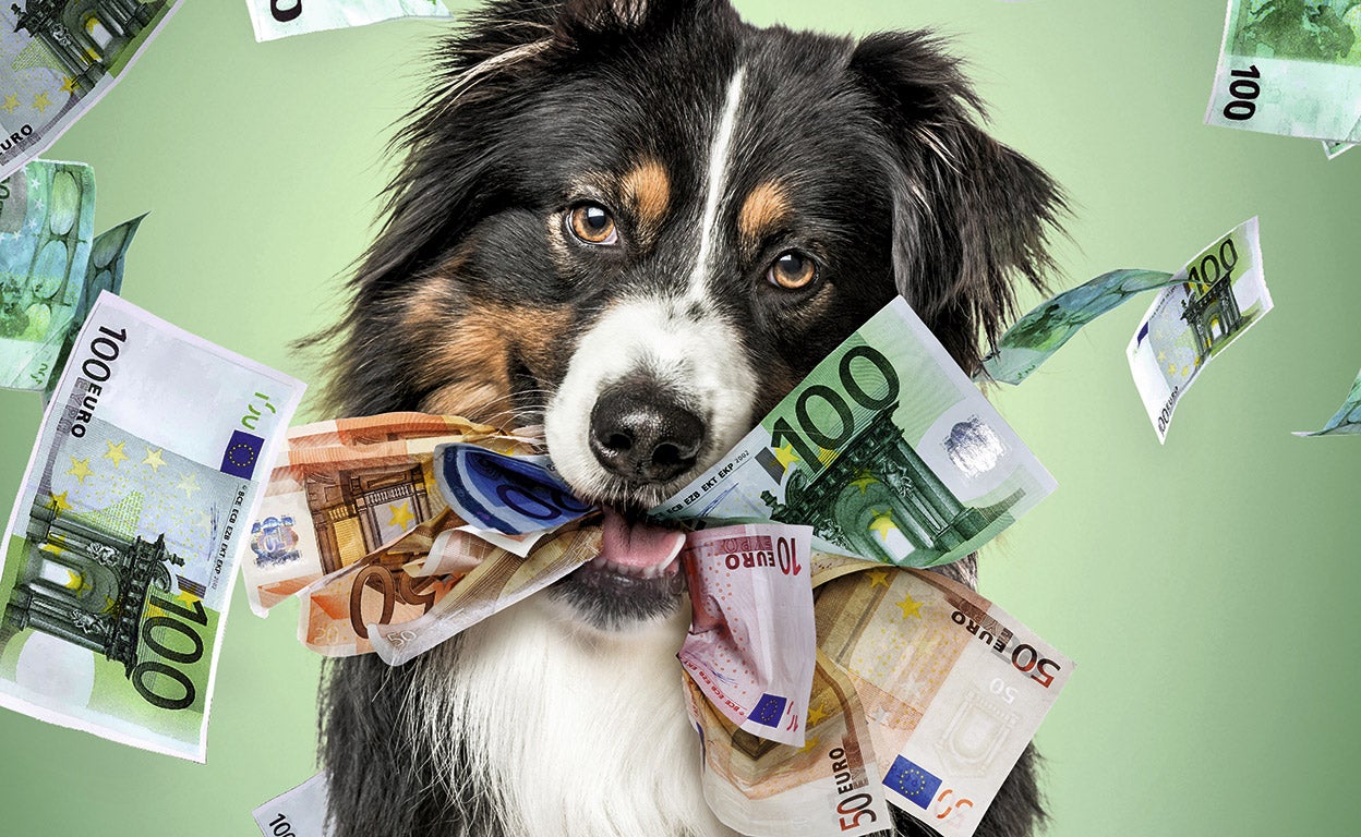 Mi perro se está comiendo mis ahorros (y hay una explicación)