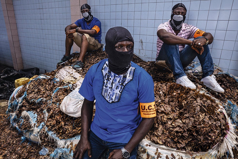 Unos policías con el rostro cubierto enseñan 3600 kilos de escamas aprehendidas en Costa de Marfil. La pena para los traficantes locales: un año de cárcel.