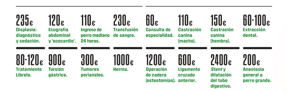 Precios orientativos de los tratamientos veterinarios más demandados.
