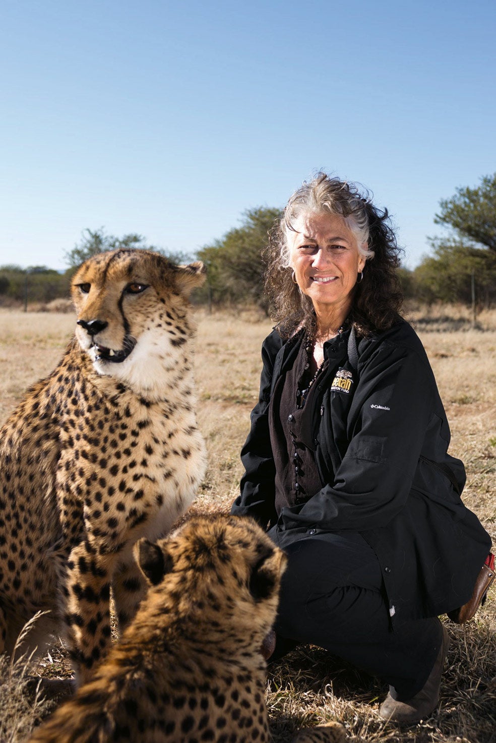 La estadounidense Laurie Marker es la mayor experta del mundo en guepardos. En 1977 transportó a Namibia un cachorro crecido en EE.UU. para averiguar si era posible enseñar a los guepardos a cazar. Allí supo que los ganaderos estaban acabando con ellos y decidió quedarse y luchar.