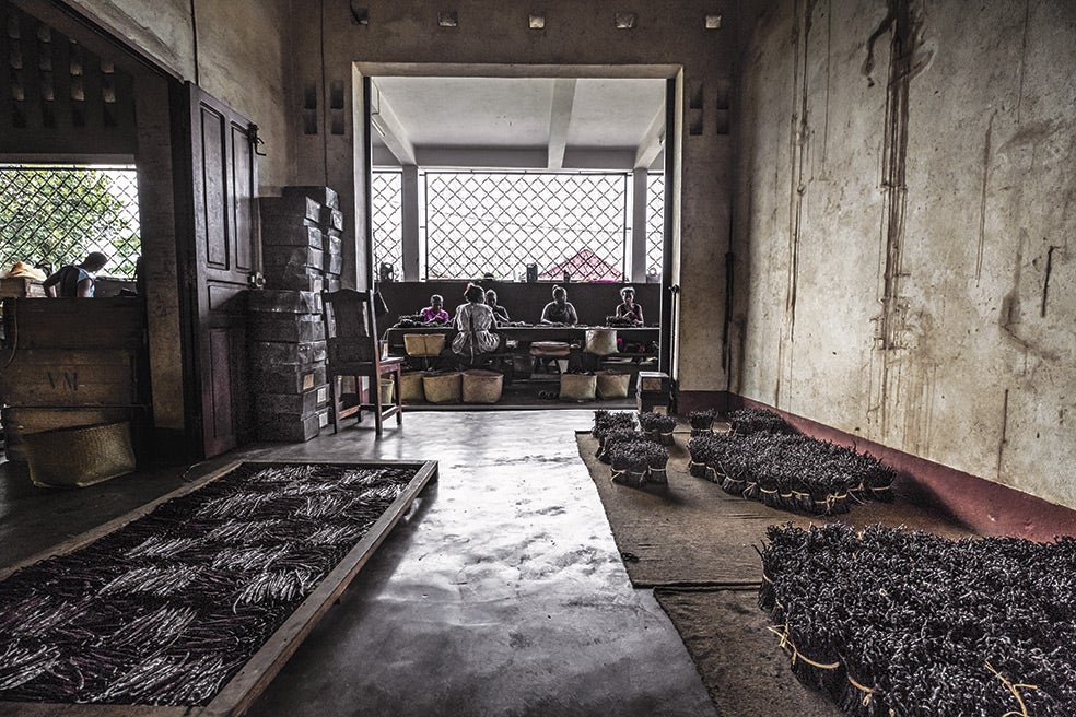 Se han llegado a pagar 600 dólares por un kilo de vainilla. Esta planta solo se cosecha una vez al año.