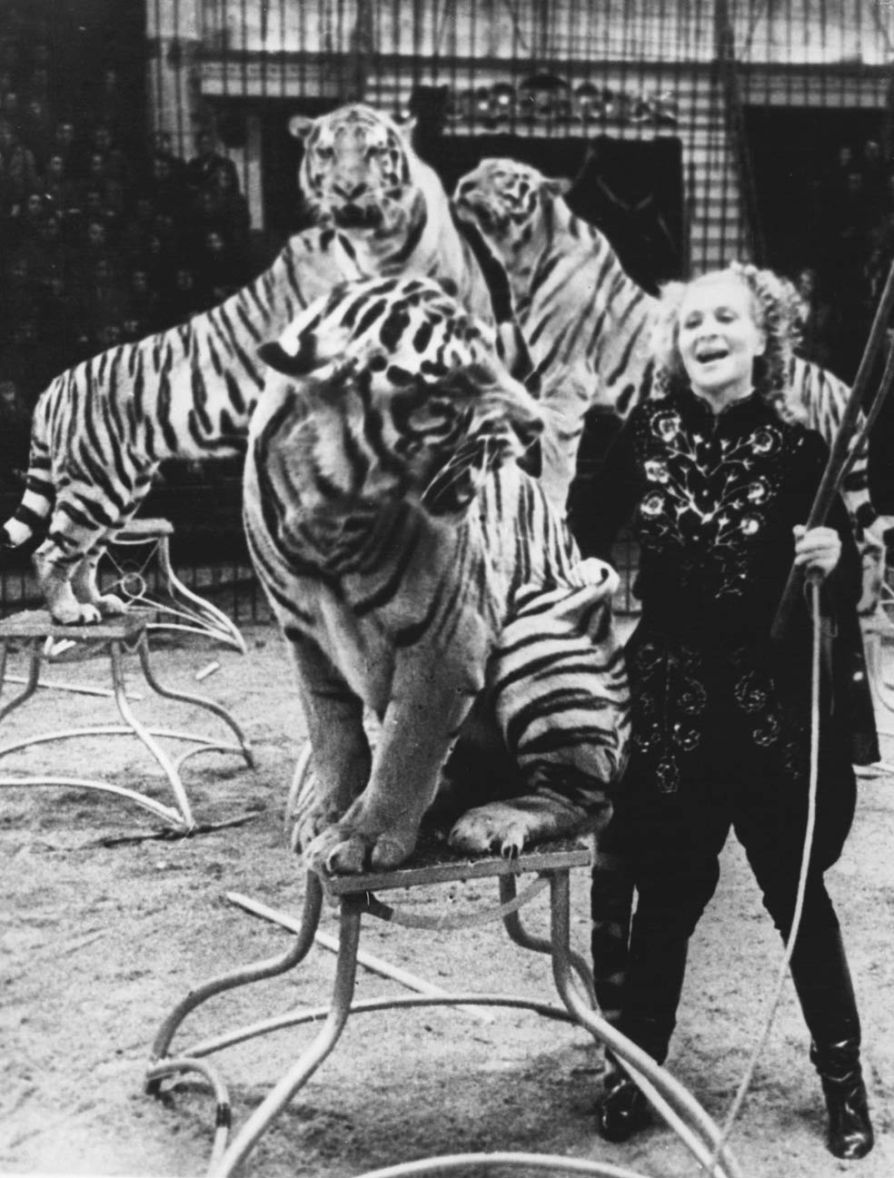 Antes drogaban a las fieras. Ahora, en España, están vetados los circos con animales.