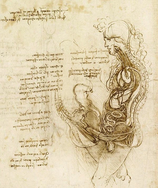 Da Vinci representó casi todos los actos biológicos, incluidas las relaciones sexuales.