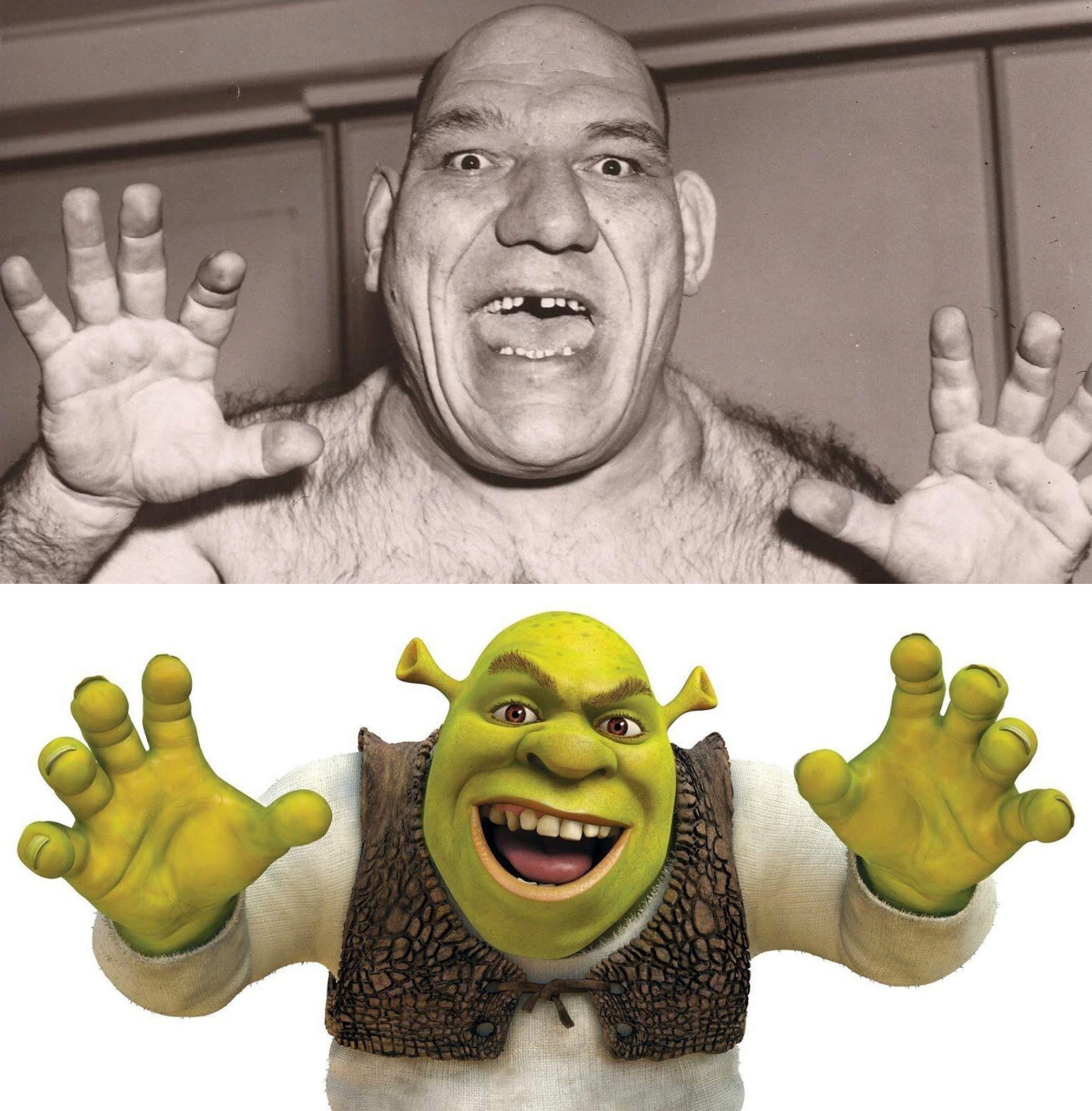Aunque los directivos de Dreamworks nunca han reconocido oficialmente que Tillet fue la inspiración para diseñar a Shrek, las similitudes físicas y las coincidencias en la historia de ambos son muy evidentes.