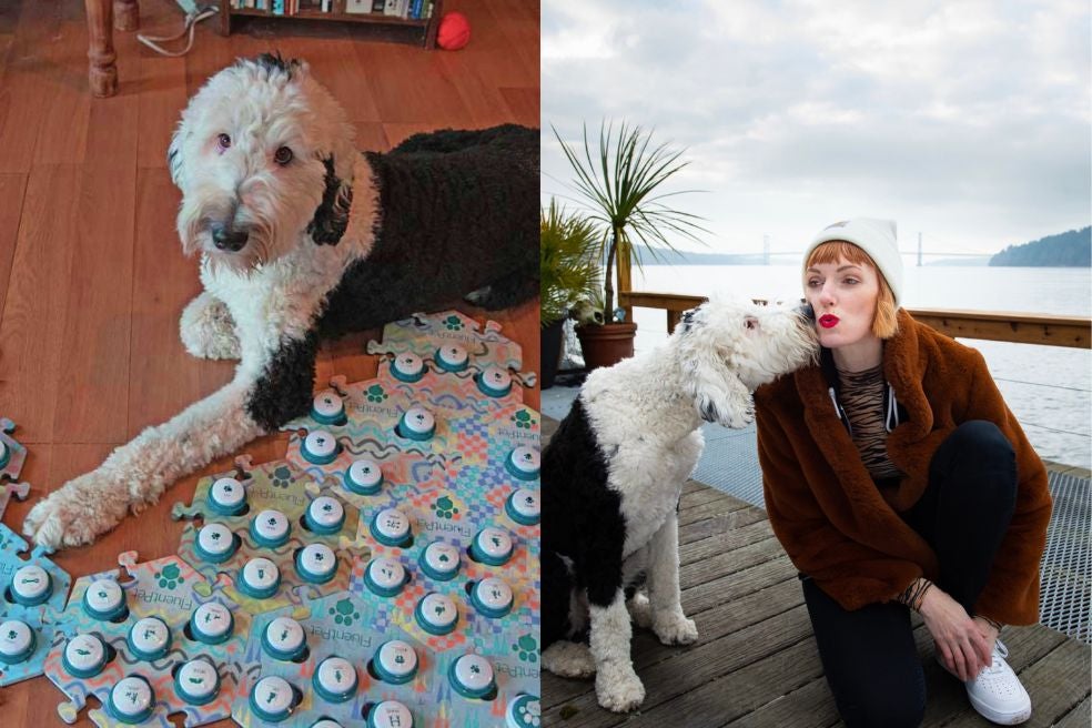 Los botones parlantes de FluentPet se activan (reproducen palabras con voz) cuando los presiona el perro. Fueron diseñados para personas con discapacidad no verbales y se pueden personalizar... o 'animalizar' con las palabras de interés para cada uno. Requiere un entrenamiento previo. Bunny (en la foto con su dueña, Alexis Devine) fue la primera en captar la atención de millones de seguidores en TikTok. Los usan ya más de dos millones de perros.