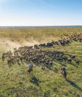 Imagen secundaria 2 - EL MUNDO SEGÚN TAYLOR. Sheridan y su esposa, Nicole, se casaron en 2013. Les une la pasión por el mundo vaquero (ella también creció en el rancho de sus abuelos en Wyoming). Ahora, la pareja vive junto a su hijo Gus, de 14 años, en el histórico rancho Four Sixes (Texas), fundado en 1900 y cuya última propietaria vendió a Sheridan antes de morir en 2020. Allí se ruedan muchas de las escenas de sus series.