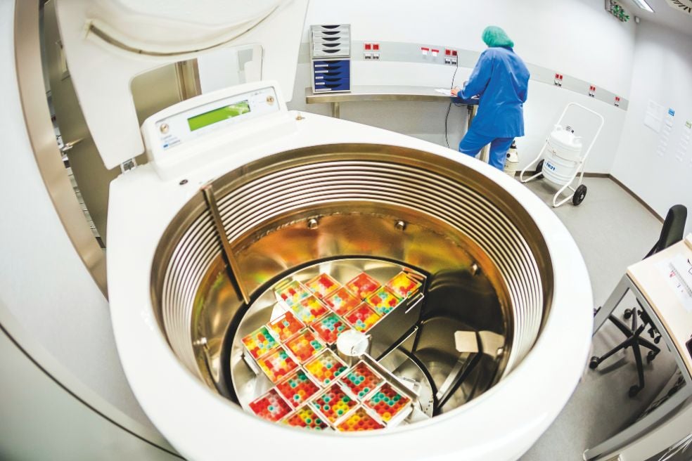 En España, el coste de una FIV puede variar entre los 3000 y los 5000 euros por ciclo, y el coste de mantenimiento de los embriones congelados ronda los 300 euros al año.