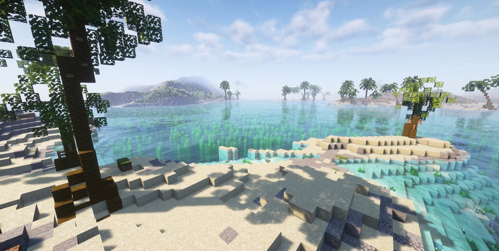 El videojuego debe parte de su éxito apabullante a sus gráficos sencillos y requisitos de sistema relativamente modestos. Se hizo especialmente popular entre niños y adolescentes, siendo las mujeres casi la mitad de su base de jugadores.