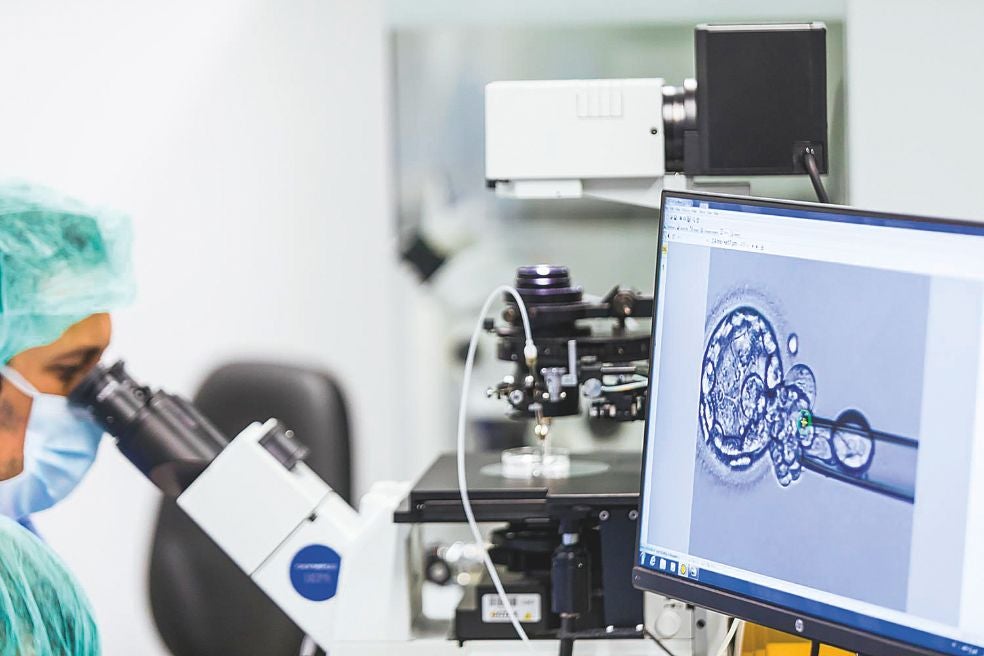 Durante la fecundación in vitro (FIV) se cultivan los embriones en el laboratorio con una supervisión y control constantes para seleccionar el que tenga mayor potencial de implantación.