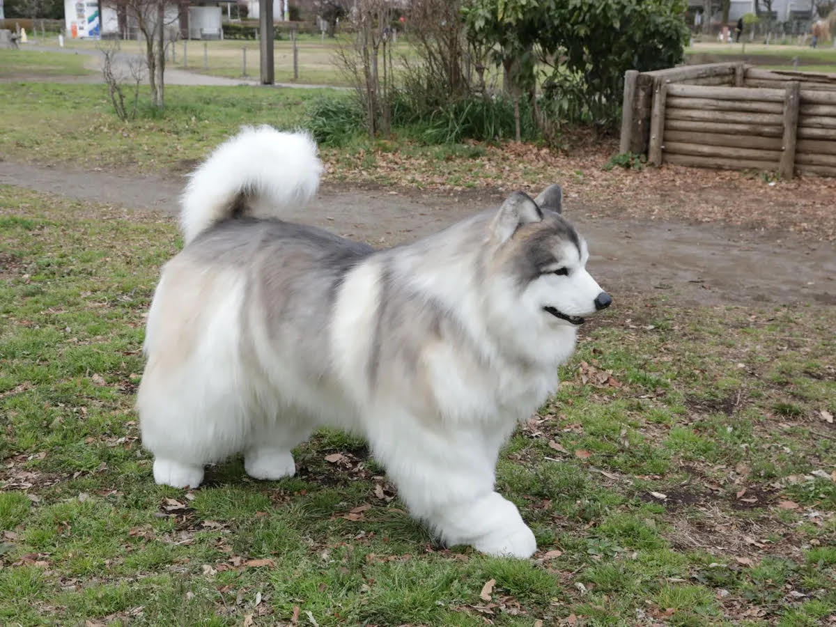 Trajes hiperrealistas: cuando no es suficiente tener un perro, sino que quieres ser uno...