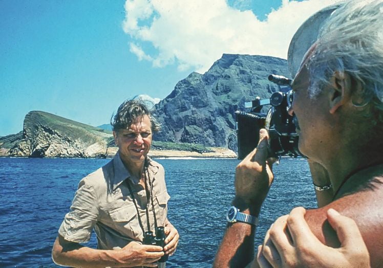 Imagen principal - Máxima emoción. Arriba: en un rodaje en 1978. Abajo a la izquierda: su emocionante encuentro con una ballena azul en 2001. Y a la derecha: en 1993 en la Antártida midiéndose con un elefante marino. En un momento necesitó usar el palo y levantarlo para mantener a otro elefante a distancia.