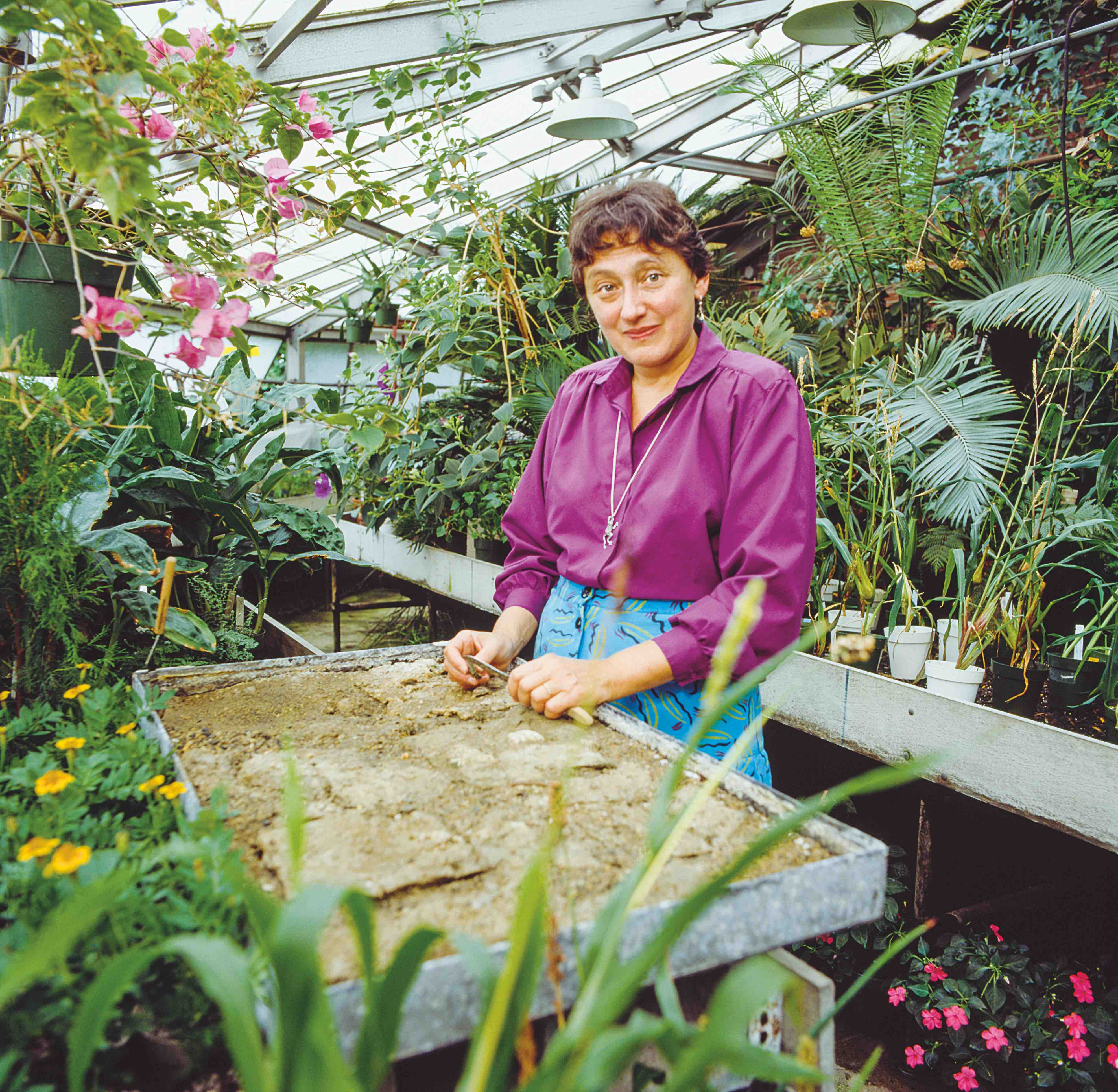 Lynn Margulis es la bióloga estadounidense que primero planteó que la colaboración es una fuerza evolutiva tan importante como la competencia.