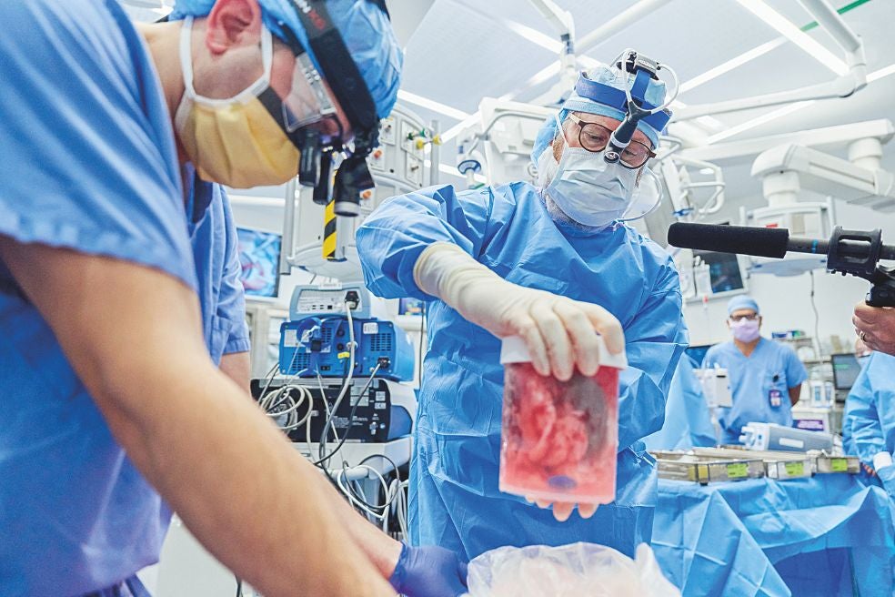 Robert Montgomery, de 65 años, examinando un riñón de cerdo antes de ser trasplantado en un paciente en el centro Langone de la Universidad de Nueva York donde Montgomery opera.