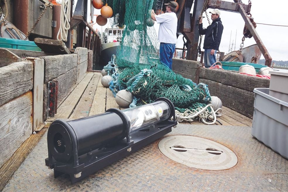 Las cámaras con IA ayudan a los pescadores a ajustar la profundidad de las redes, reduciendo un 40 por ciento las capturas no deseadas.