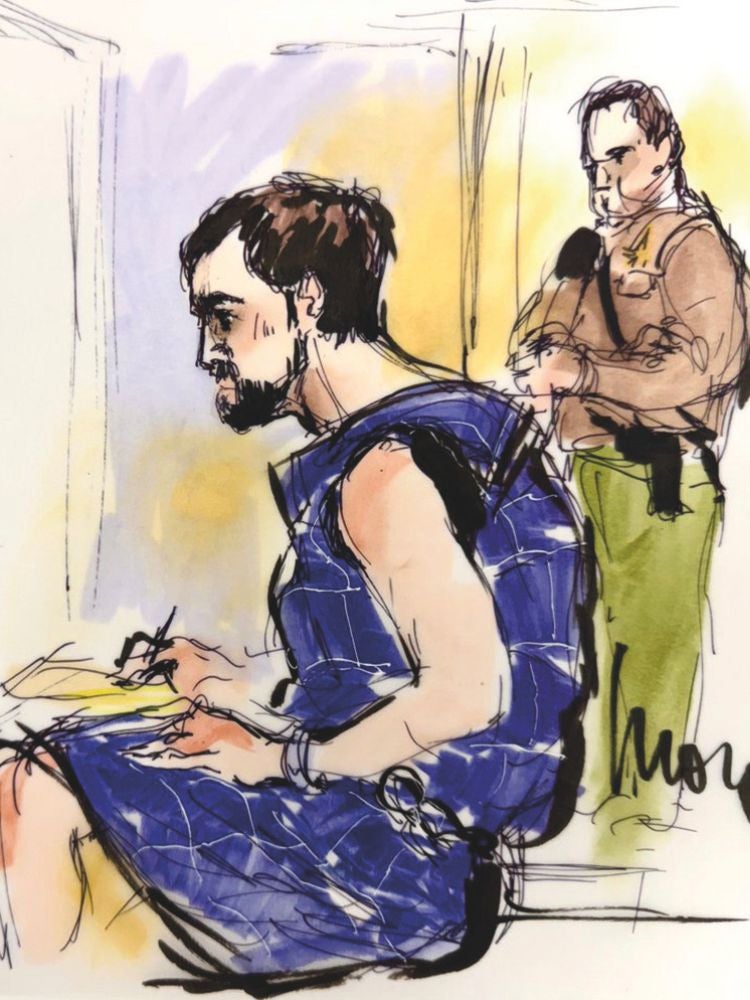 En su primera comparecencia ante un tribunal, Nick vestía un atuendo antisuicidio y no llevaba pantalones ni camisa. En esa misma vista, su abogado renunció a su defensa y su caso pasó a un abogado de oficio.